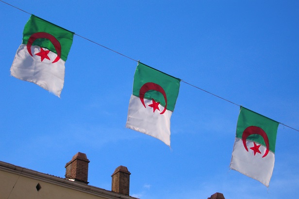algerie-election-presidentielle-bouteflika-drapeaux.jpg
