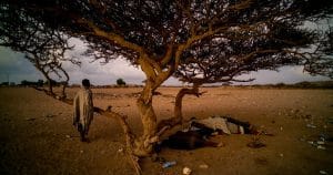 Reportage. La fille de la passeuse et autres contes du golfe d’Aden