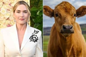 Kate Winslet reveals her fear of cows: 'I have decided that they are going to stampede me to the ground'