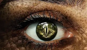 espèce serait capable de reprendre la civilisation sur Terre