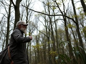 L'uomo che suona la cornamusa in segno di lutto per gli alberi abbattuti