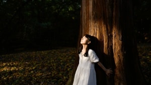 ‘Silent Friend’ Review: Ildikó Enyedi’s Utterly Enchanting New Film Speaks for the Trees