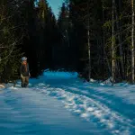 ‘Hunting Matthew Nichols’ Review: A Missing Brother’s Cold Case Heats Up In Canadian Found-Footage Horror