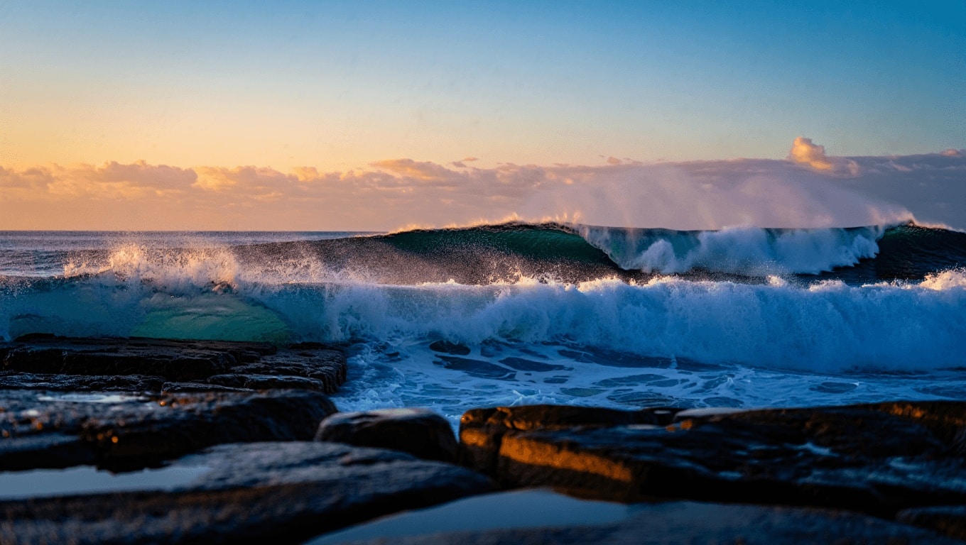 ‘Phenomena’ Review: An Iridescent Ode to Ordinary Wonders