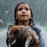 Rain Reign