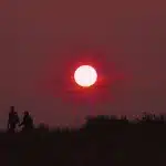 Deux femmes marchant côte à côte sur une plage hivernale brumeuse, en conversation intime