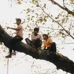 Deux enfants explorant un jardin magique avec un vieil arbre majestueux