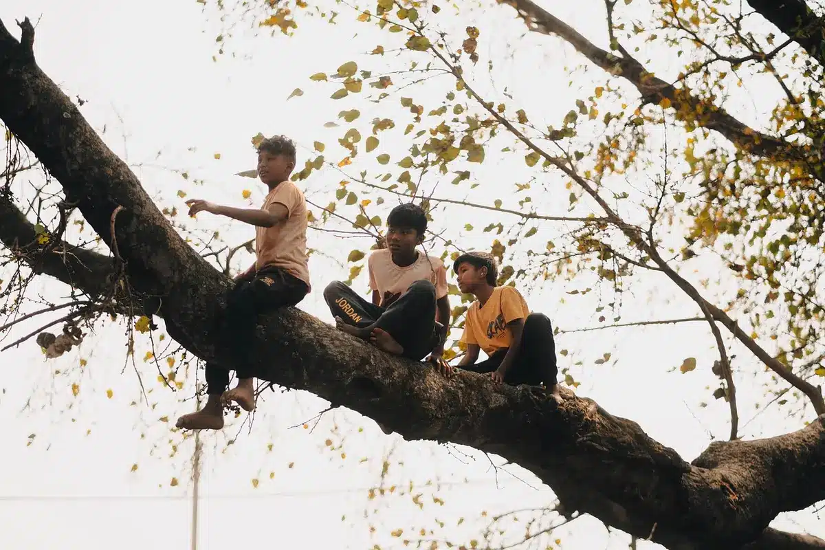 Deux enfants explorant un jardin magique avec un vieil arbre majestueux