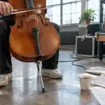 Behemoth ! : Pedro Pascal, violoncelliste classique, traverse une crise de la quarantaine