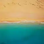 Famille anonyme sur une plage tropicale avec sacs à dos et appareils photo