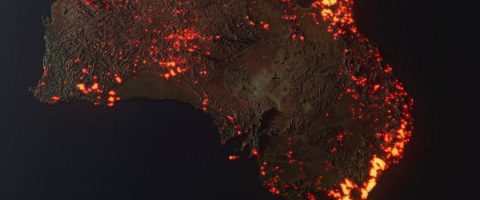 Incendies en Australie : le pire est passé