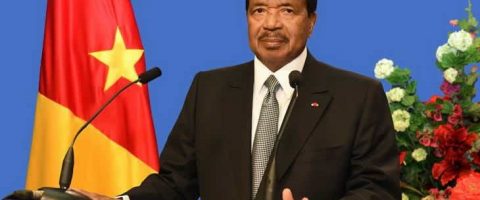 Présidentielles au Cameroun : Transparency International dénonce le déploiement de faux observateurs