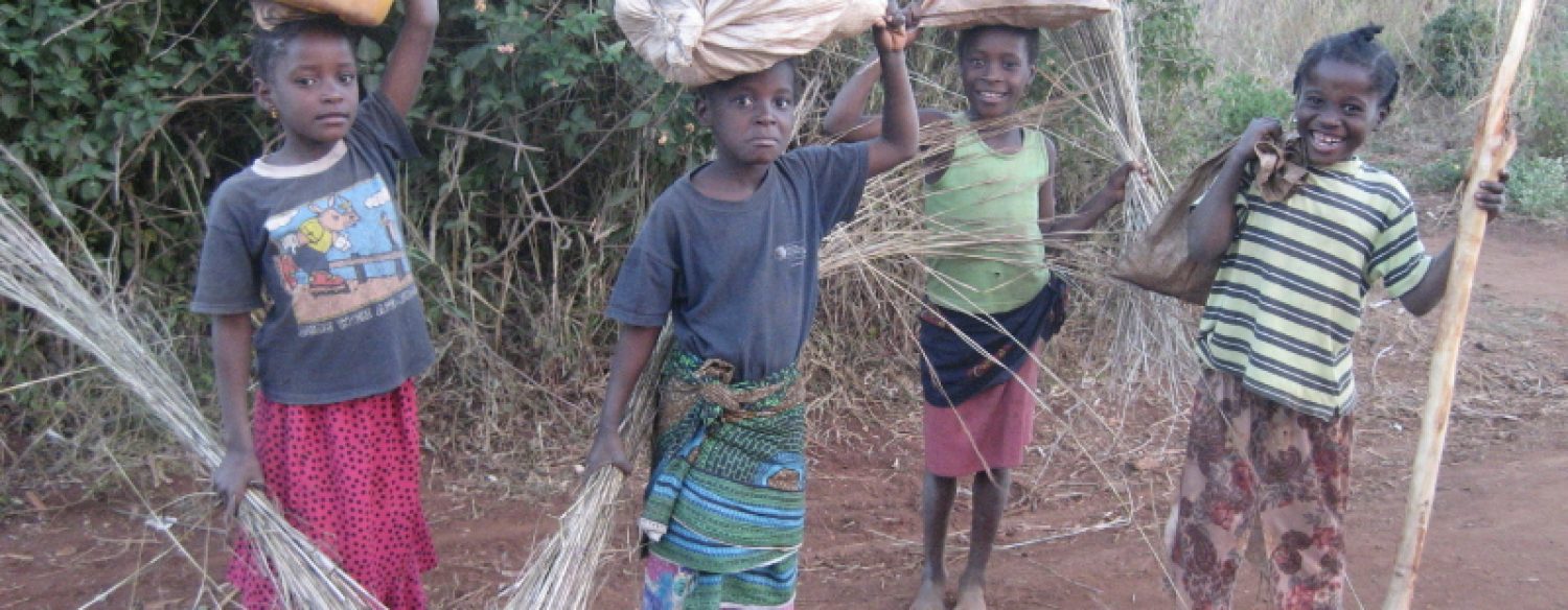 Lutte contre le travail des enfants : seuls 12 pays, dont la Côte d’Ivoire, réalisent une « avancée significative »
