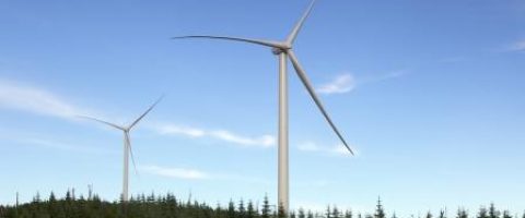Canada : lancement d’un parc éolien de grande envergure
