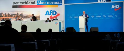 Allemagne : l’extrême-droite valide un programme électoral radical