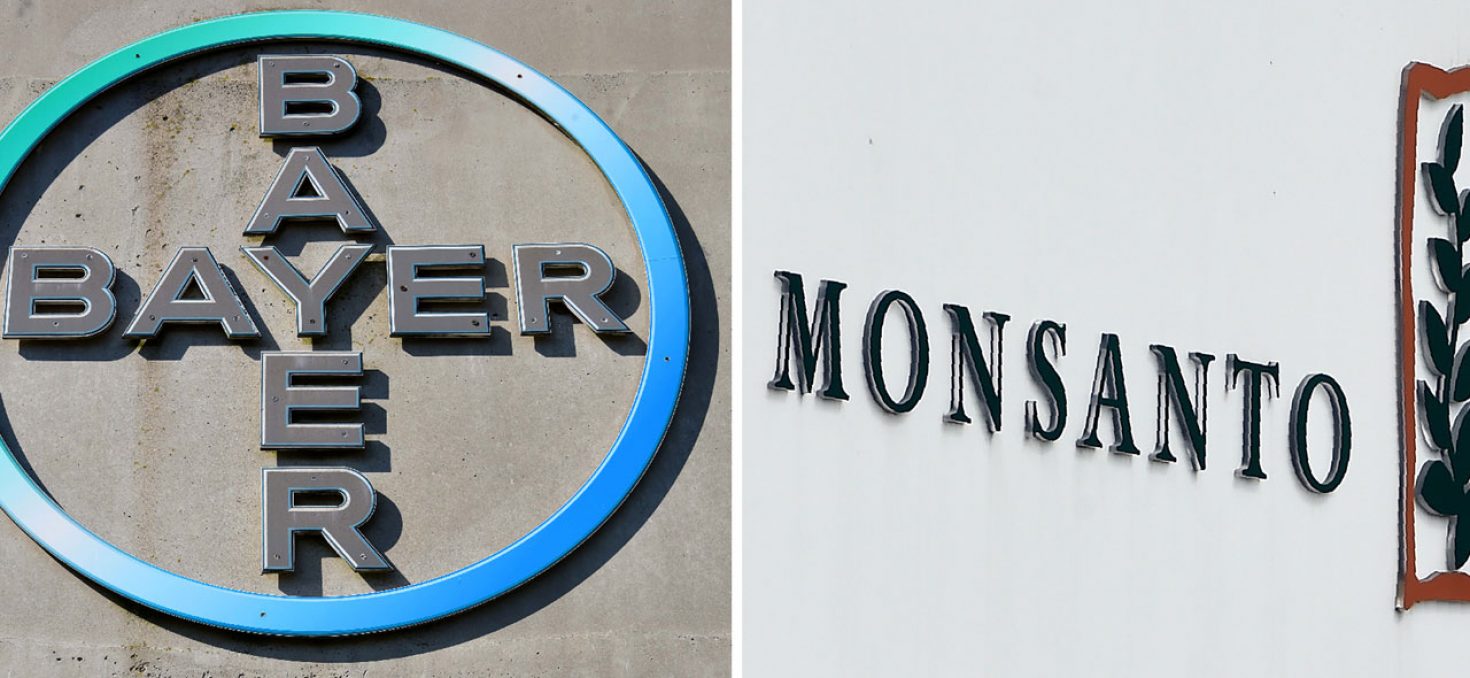 Bayer veut abandonner le nom « Monsanto »