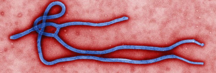 Le virus Ébola en 10 chiffres