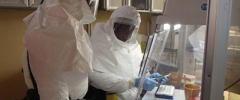 Ebola: les 20 pays susceptibles d’être touchés par le virus