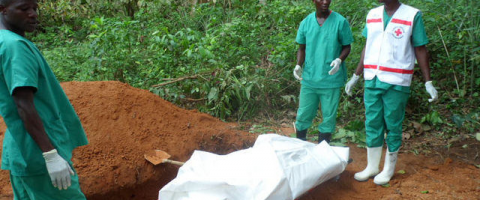 Ebola: 20 000 cas sont à prévoir