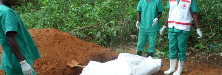 Ebola: 20 000 cas sont à prévoir