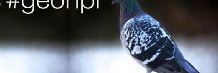 «Pigeons» (suite): vers deux régimes distincts de taxation des plus-values