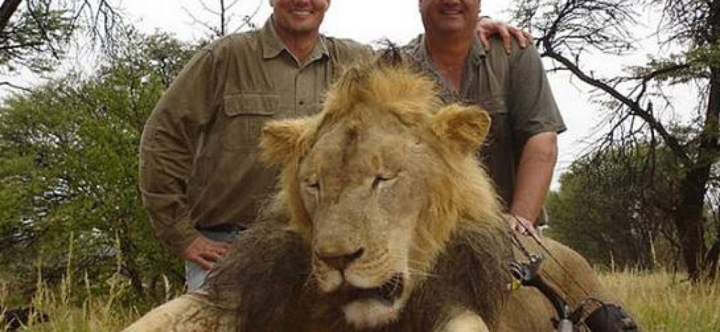 Un dentiste américain, amateur de gros gibier, accusé d’être le tueur du lion Cecil