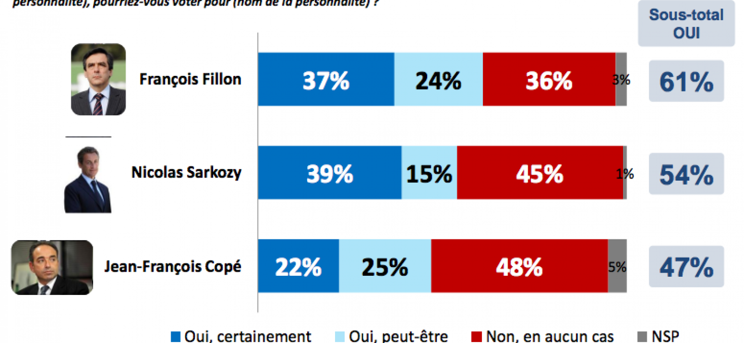 François Fillon, meilleur candidat pour la droite en 2017
