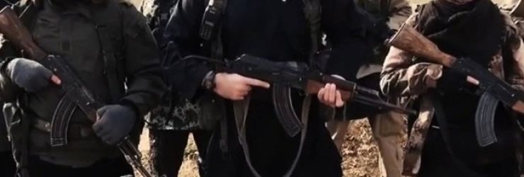 Hayat Boumeddiene repérée dans une vidéo de Daesh ?