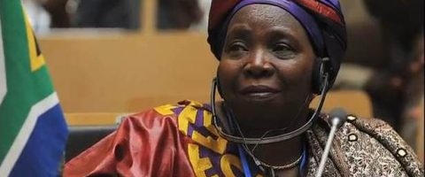 N.Dlamini-Zuma élue à la tête de la Commission de l’Union africaine