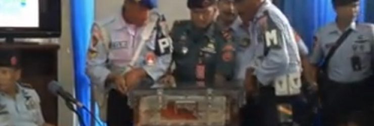 VIDEO. Les deux boîtes noires du vol QZ8501 repêchées