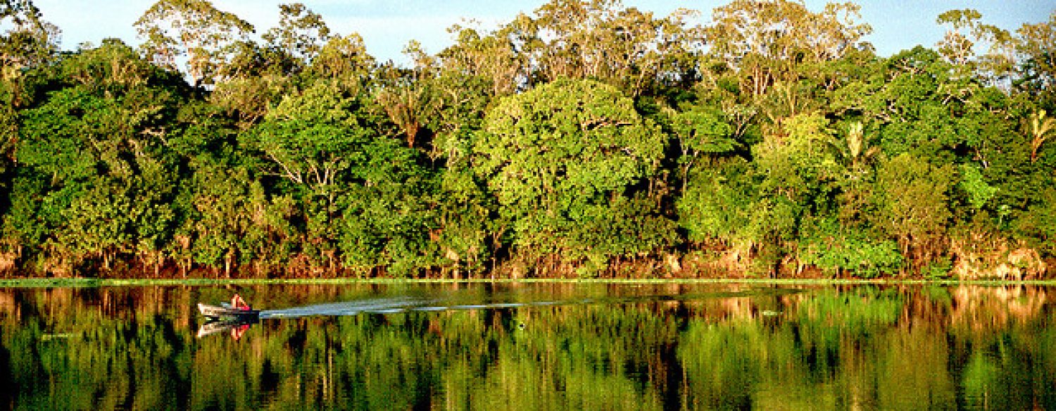 Brésil: une loi sur la culture de la canne à sucre menace l’Amazonie