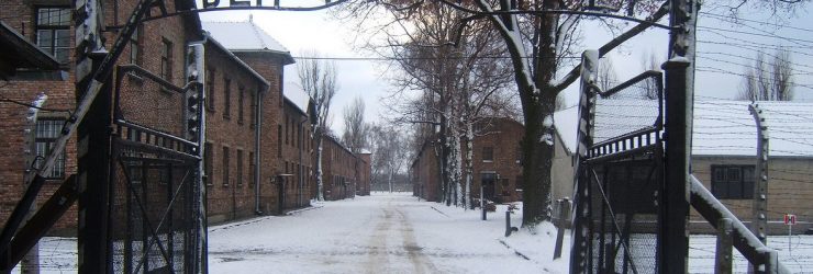 VIDEO. 70 ans après, des survivants d’Auschwitz se recueillent sur les lieux du crime