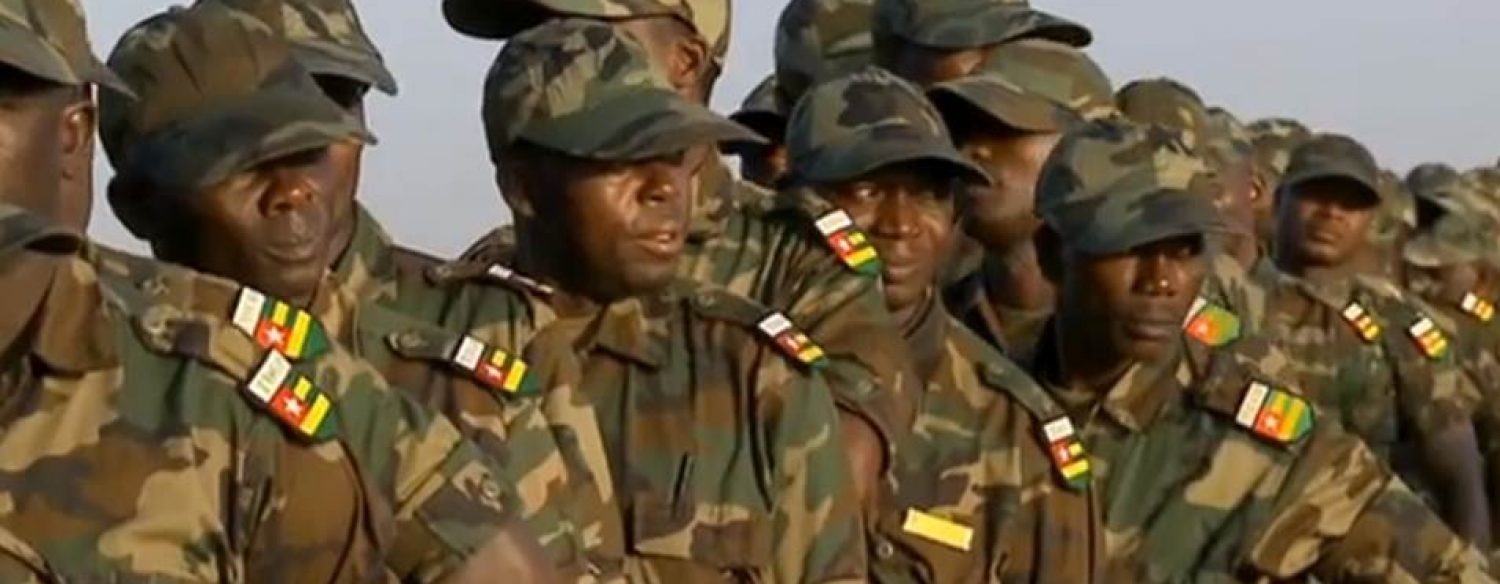 Mali: pourquoi les Africains tardent-ils tant à intervenir?