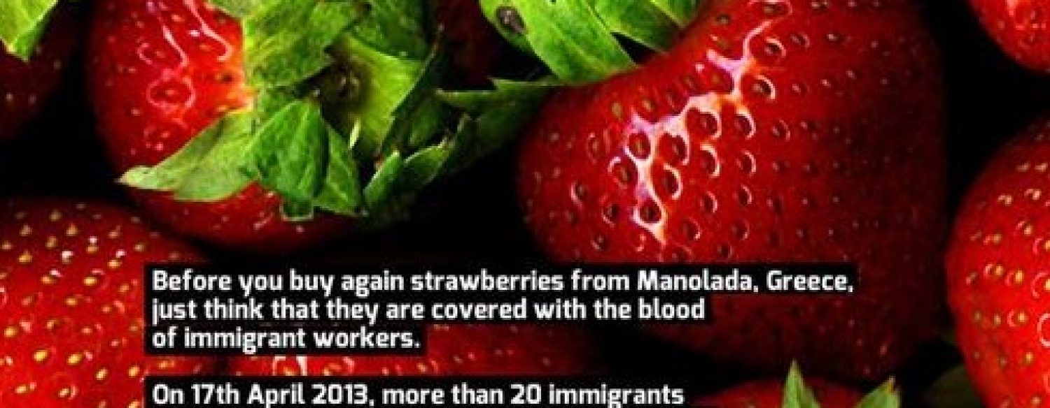 Les «fraises ensanglantées» des immigrés esclaves du Péloponnèse