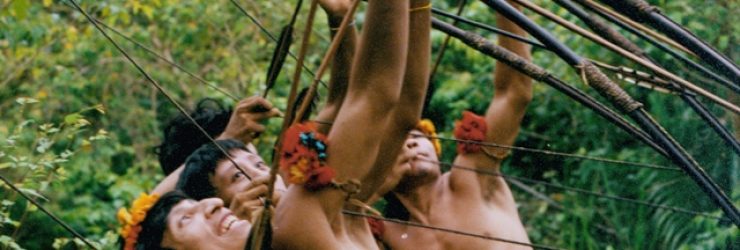 Les Awá, tribu isolée la plus menacée au monde
