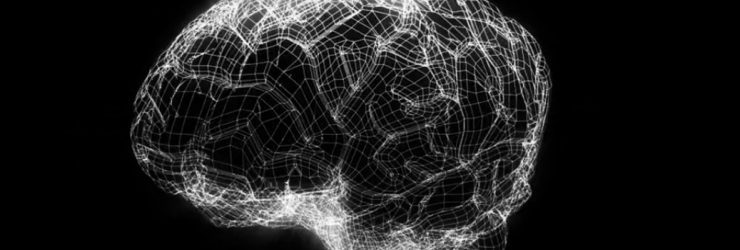 «Human Brain Project»: simuler le cerveau pour doper l’informatique