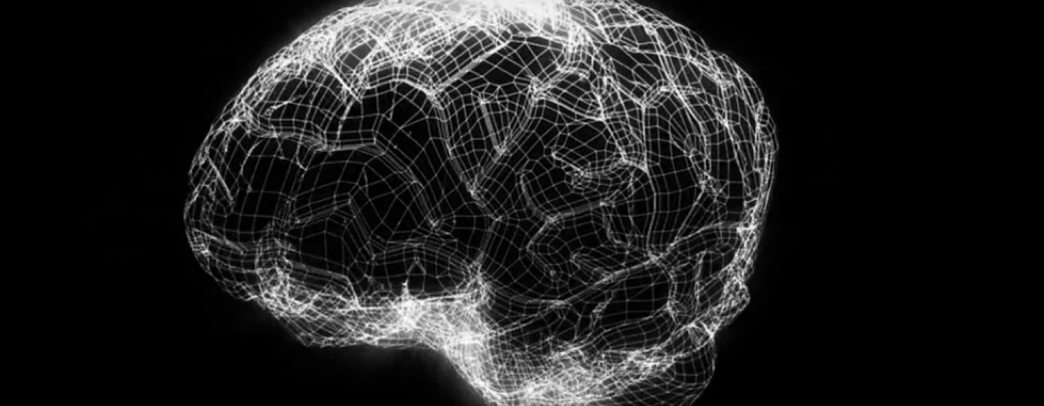 «Human Brain Project»: simuler le cerveau pour doper l’informatique