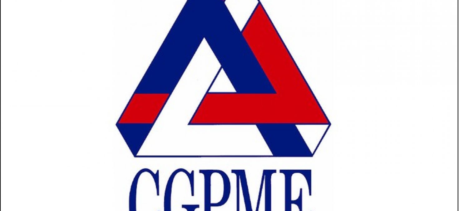 PLFSS 2013 : pour la CGPME, le gouvernement s’en prend aux TPE/PME