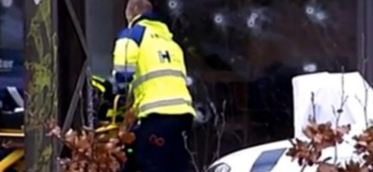 VIDEO. Fusillade au Danemark : les témoins du drame racontent