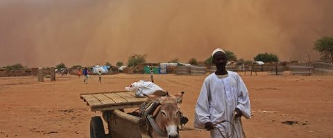 20 000 nouveaux déplacés au Darfour: une «guerre ensablée» loin d’être finie