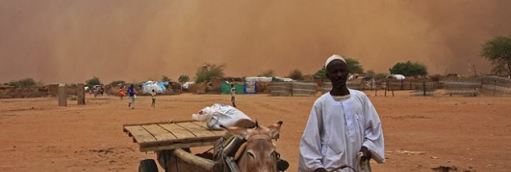 20 000 nouveaux déplacés au Darfour: une «guerre ensablée» loin d’être finie
