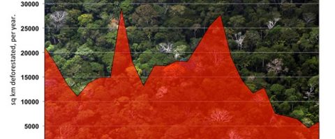 Carte interactive: les points noirs de la déforestation dans le monde