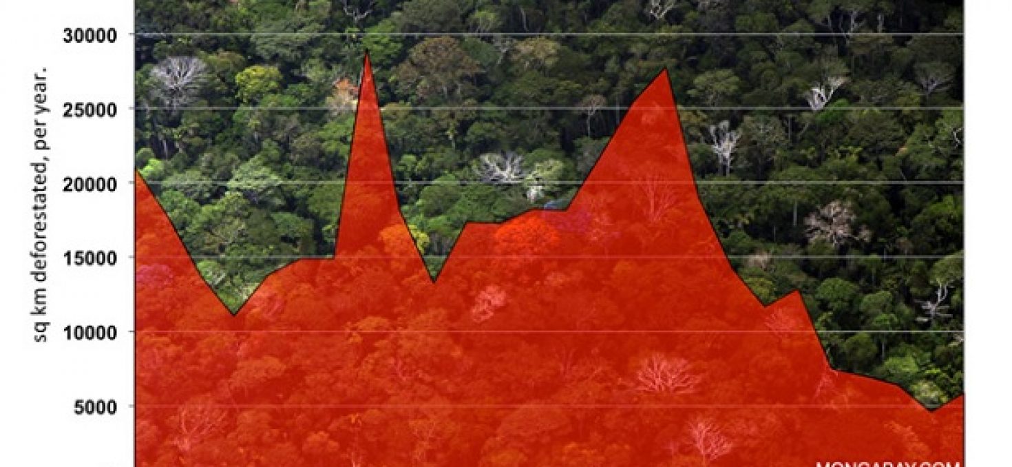 Carte interactive: les points noirs de la déforestation dans le monde