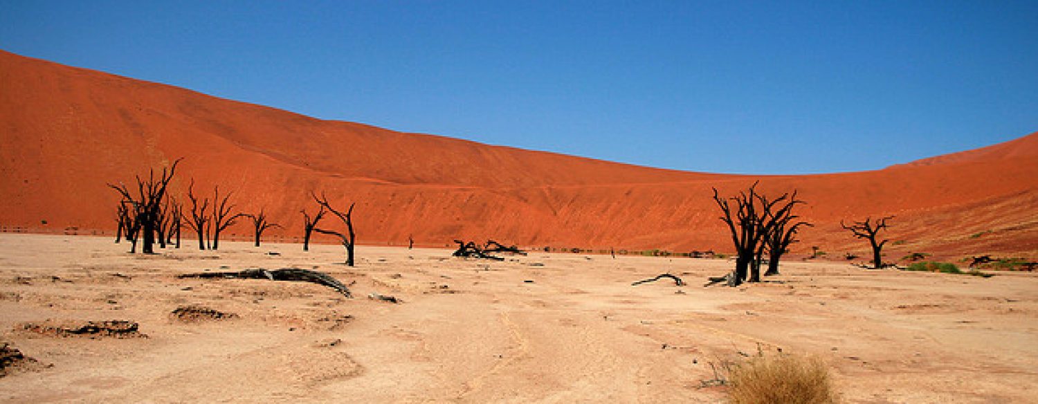 Les producteurs de «Mad Max» accusés de nuire au désert de Namibie