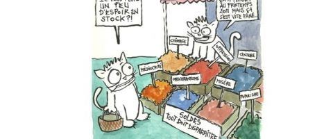 Willis, le chat symbole de la liberté d’expression retrouvée à Tunis
