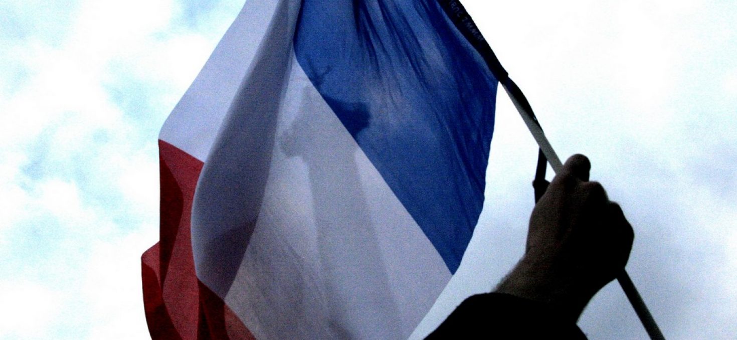 Panorama des partis politiques en France: élus et adhérents