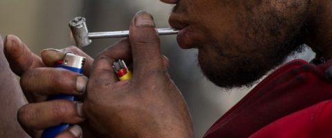 Amérique latine: les nouvelles stratégies de la lutte anti-drogue