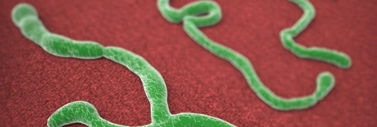 Ébola: «Un virus qui tue entre 70% et 90% des malades»