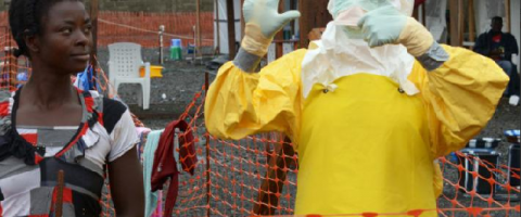 Virus Ebola: un vaccin au point en novembre?