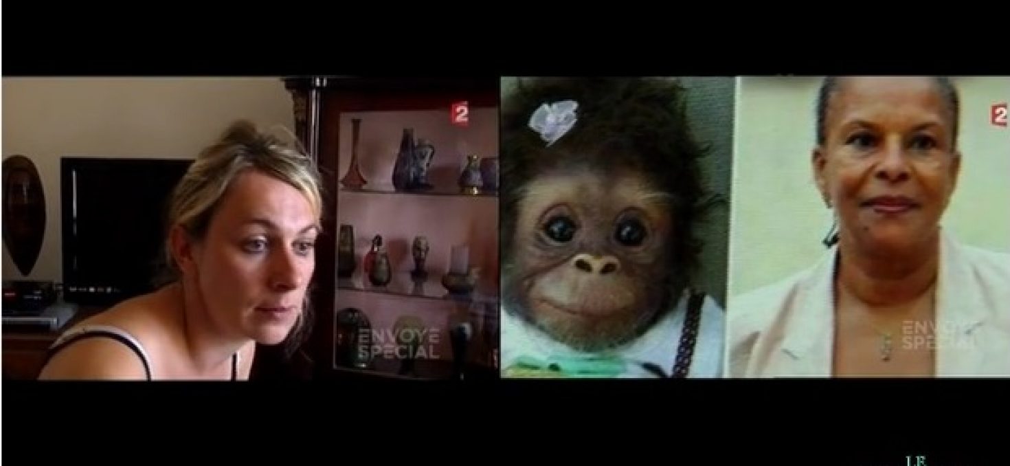 Une candidate FN compare Christiane Taubira à un singe